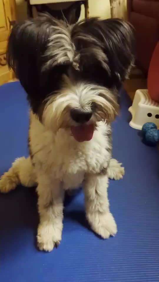 35. Trick Challenge - Schmeckts/ Zunge raus-Beitrag-Bild