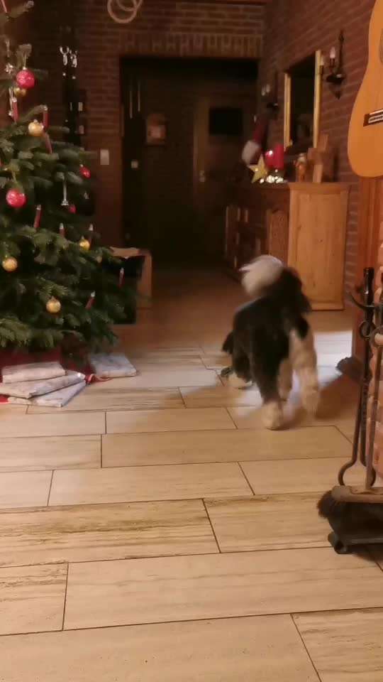 Trick Challenge NR 22 "Ziehen"-Beitrag-Bild