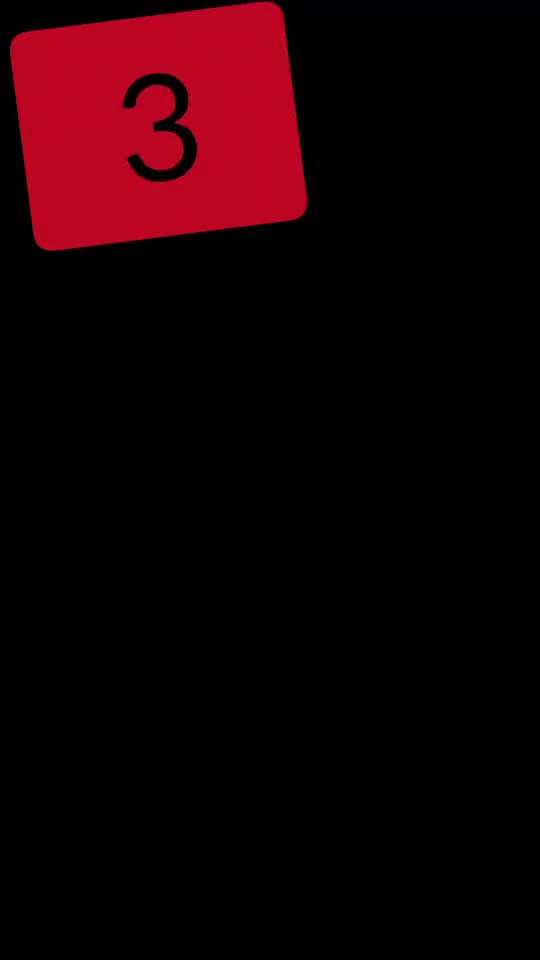 Action-Fun Hund- Aventskalender-Beitrag-Bild