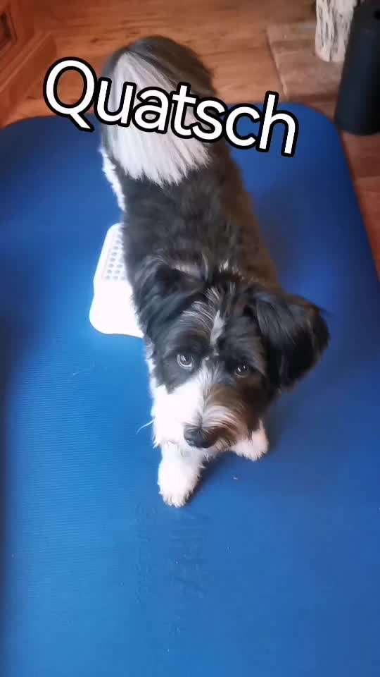 Trick Challenge ABC-Beitrag-Bild