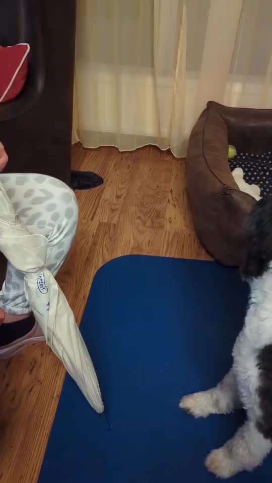 52. Gemeinsames Tricktraining: Umarmen-Beitrag-Bild