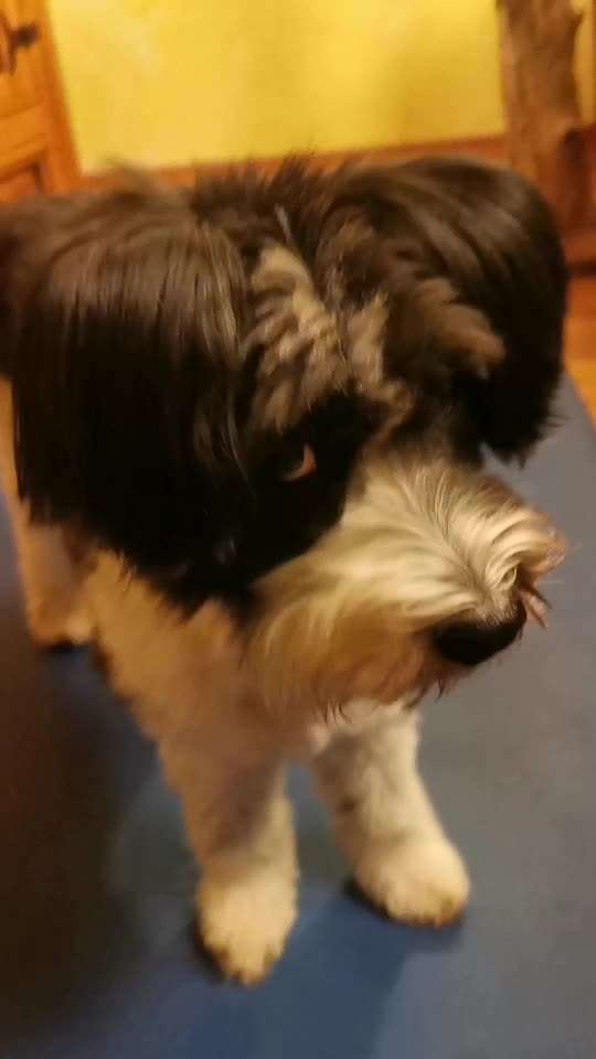 Trick Challenge ABC-Beitrag-Bild