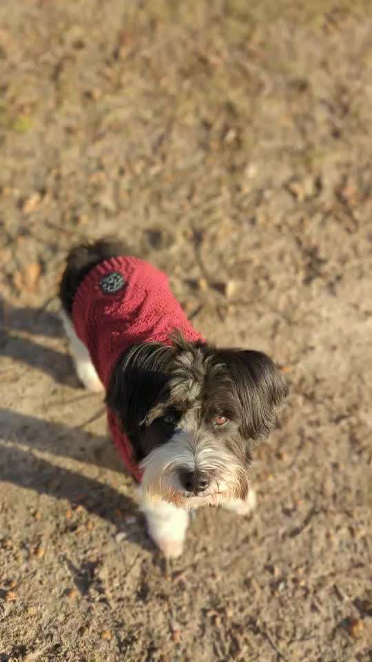 Trick Challenge ABC-Beitrag-Bild