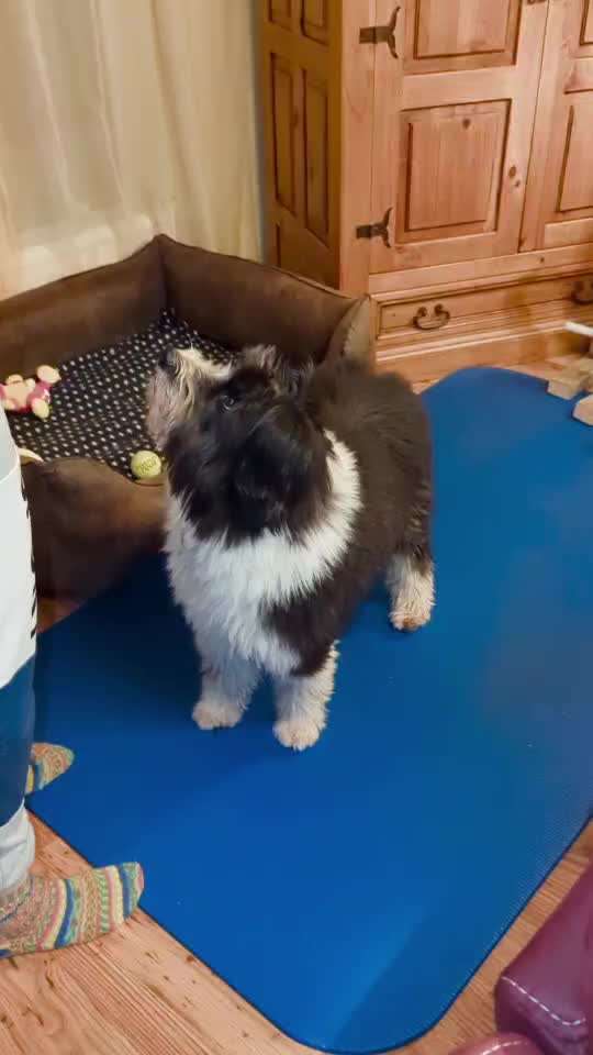 Veteranenzone - Koffer packen für fortgeschrittene-Beitrag-Bild