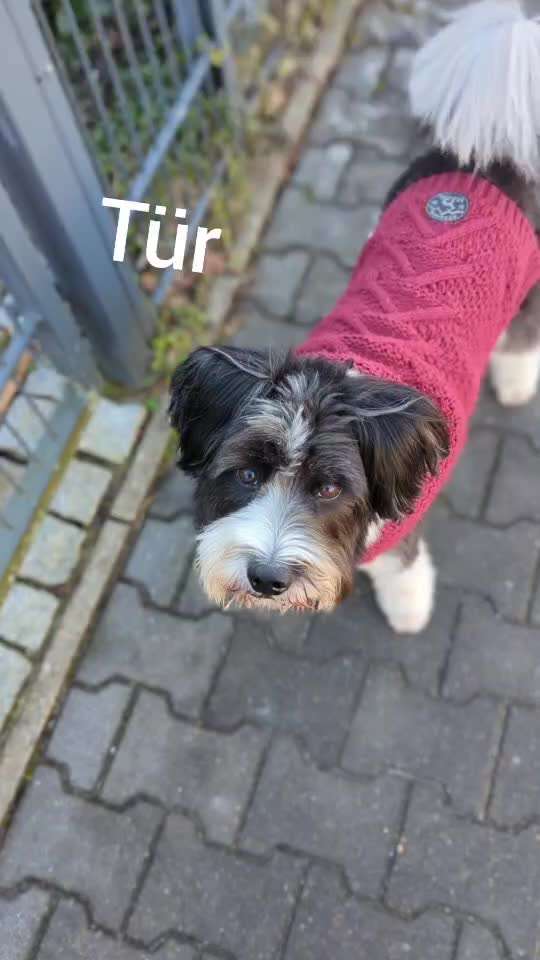 Trick Challenge ABC-Beitrag-Bild