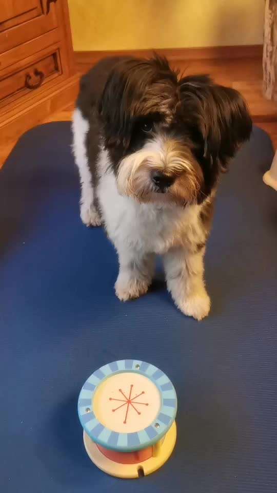 Trick Challenge ABC-Beitrag-Bild