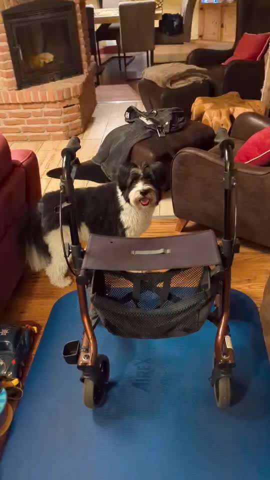 Trick- Challenge Nr. 31 ,Schieben‘-Beitrag-Bild