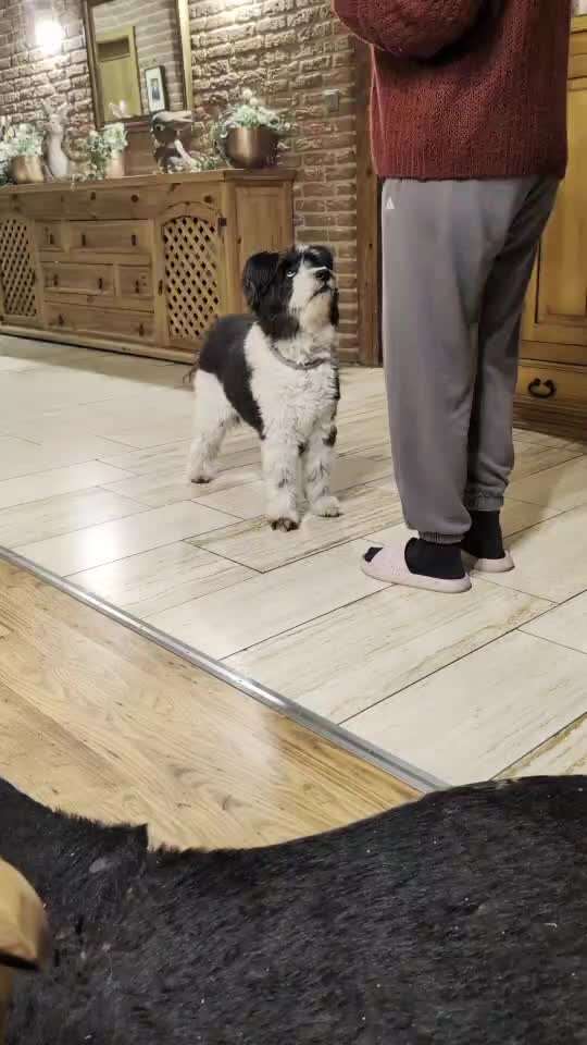 Trickchallenge Nr.86: Spiegelbild-Beitrag-Bild