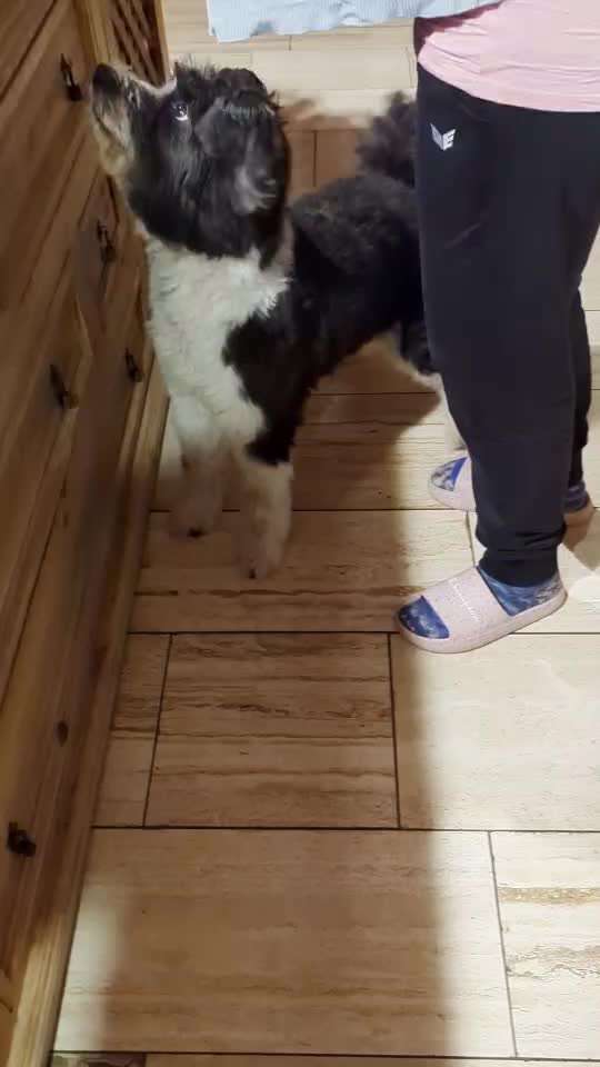 69. Tricktraining: Rücken an Rücken-Beitrag-Bild