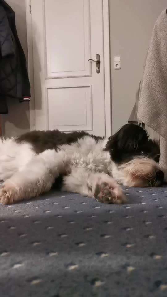 Trick Challenge ABC-Beitrag-Bild