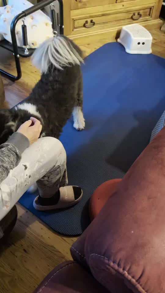 77. Trickspiel - Süß-Beitrag-Bild