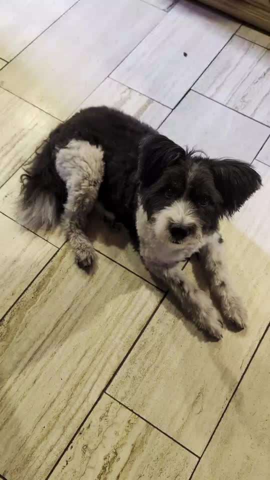 Gangbild/-analyse-Beitrag-Bild