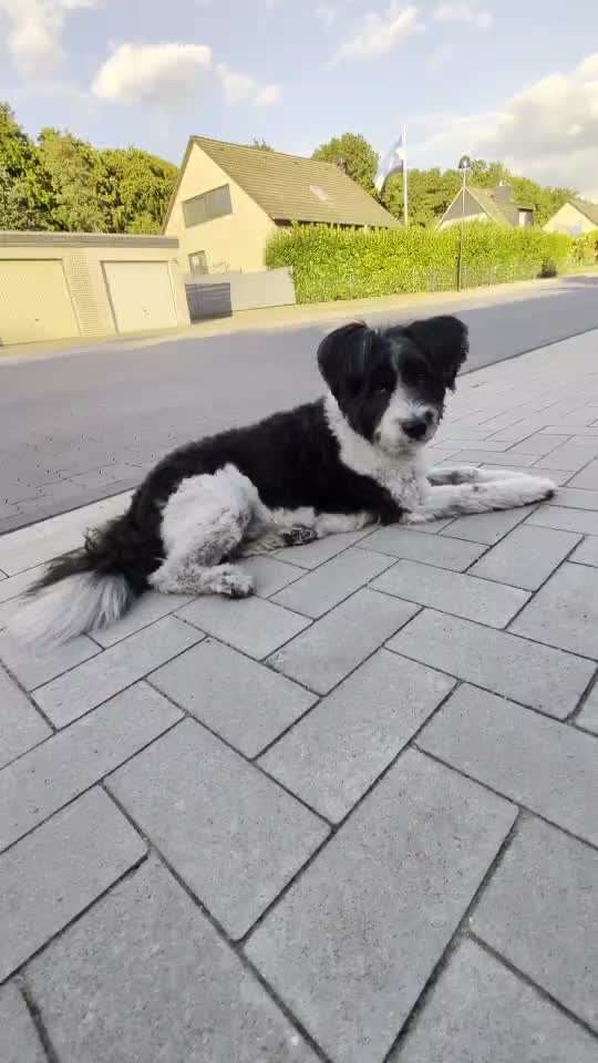 Gangbild/-analyse-Beitrag-Bild