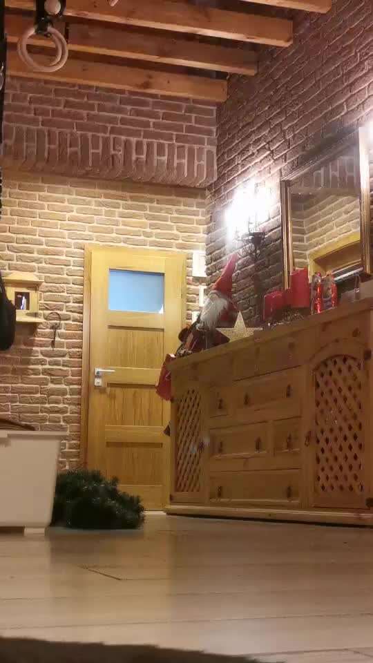 34. Trick Challenge: Pfötchen geben - alle viere!-Beitrag-Bild