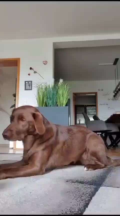 Trickchallenge - ich packe meinen 5. Koffer-Beitrag-Bild