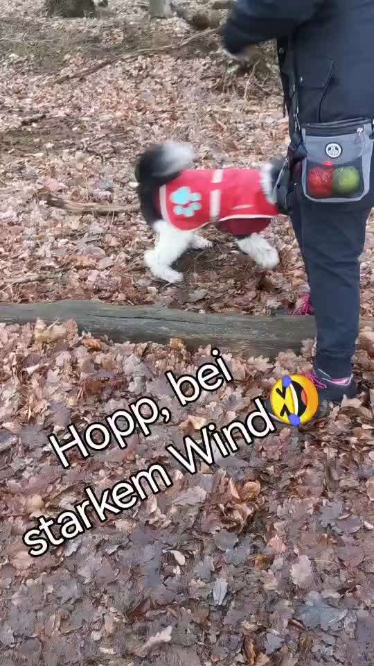 Trick Challenge ABC-Beitrag-Bild