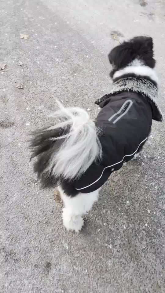 Nr. 64 Selbstständig warten zum Einleinen-Beitrag-Bild