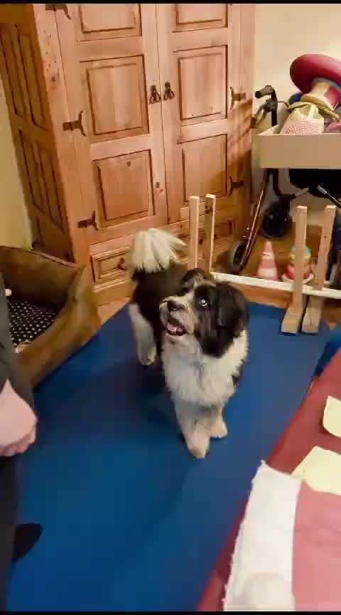 Koffer Packen: Spezial Weihnachtsedition-Beitrag-Bild