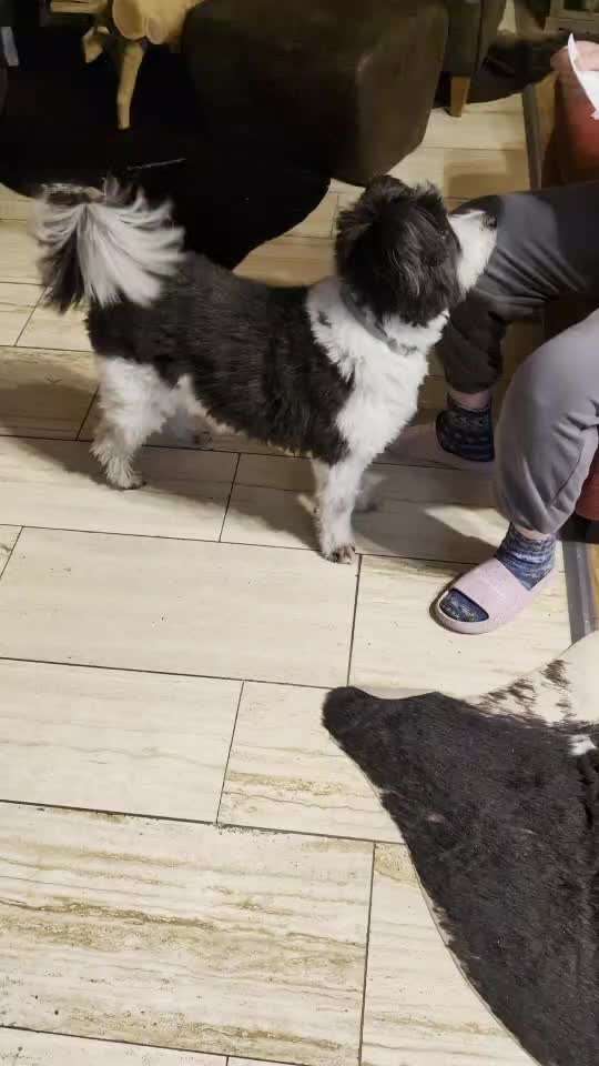 83.Trickspiel Karate-Beitrag-Bild