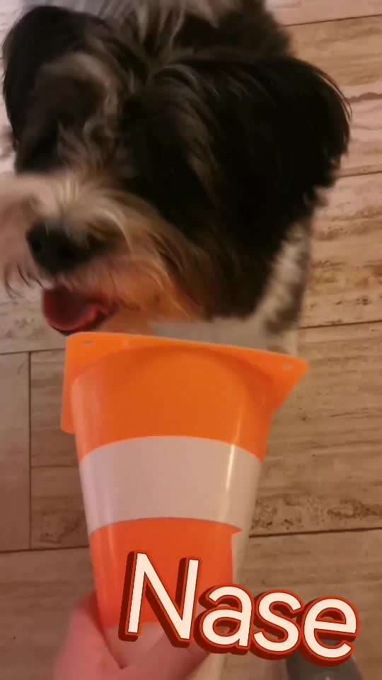 Trick Challenge ABC-Beitrag-Bild