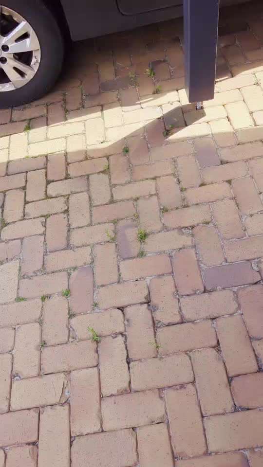 55. Impulskontrollchallenge
Kontrolliertes Aussteigen aus dem Auto-Beitrag-Bild