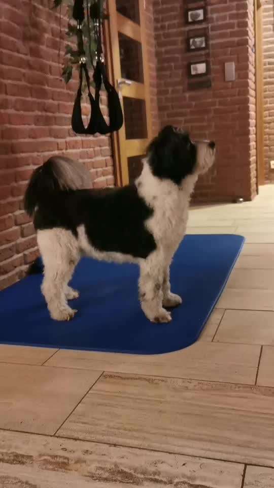 Trick Challenge ABC-Beitrag-Bild