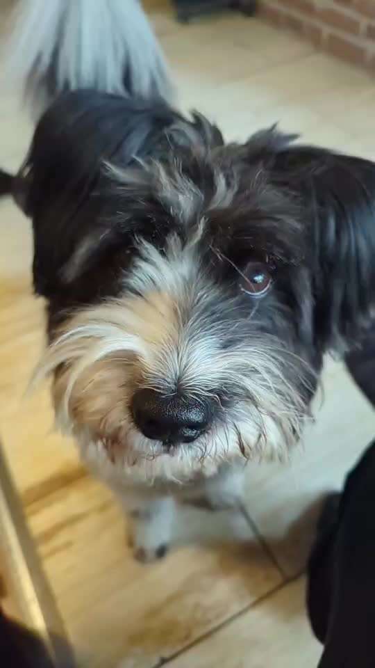 48. Papiertücher ziehen und bringen-Beitrag-Bild