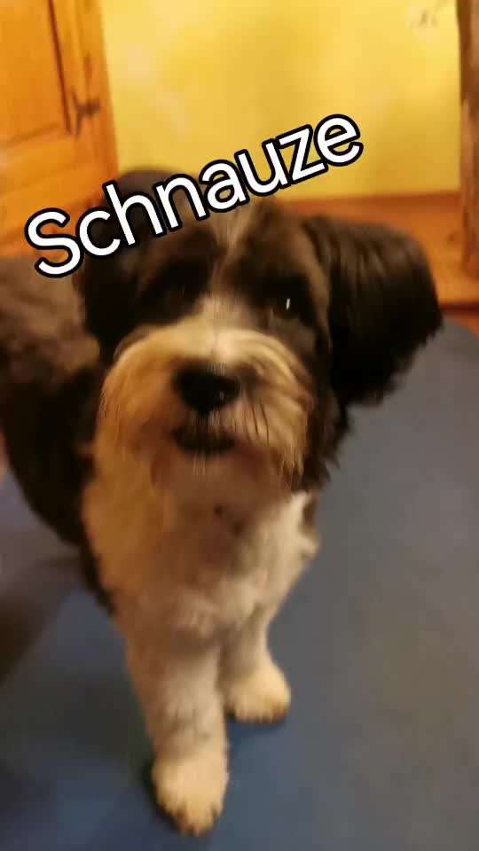 Trick Challenge ABC-Beitrag-Bild