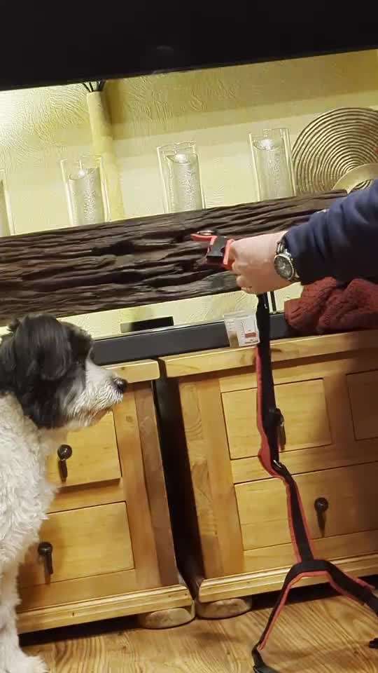 49. Impulskontrolle Challenge: Anziehen-Beitrag-Bild