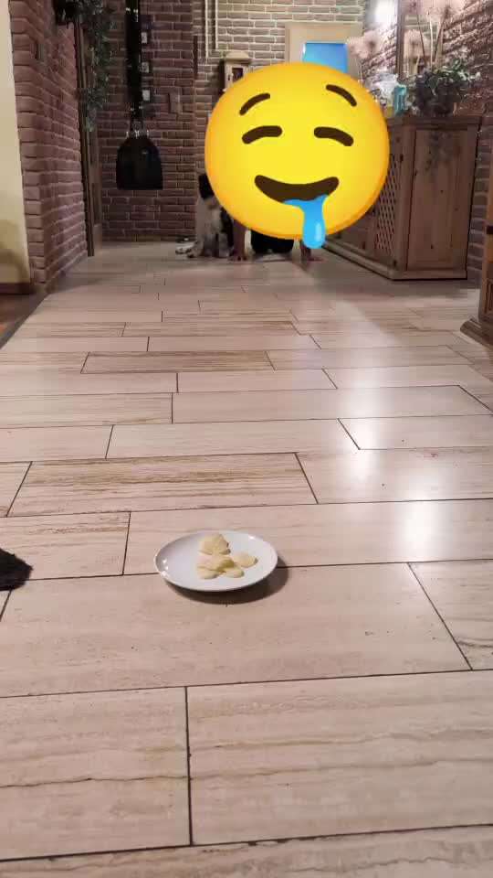 Impulskontroll Übung 70: Gemeinsam-Beitrag-Bild