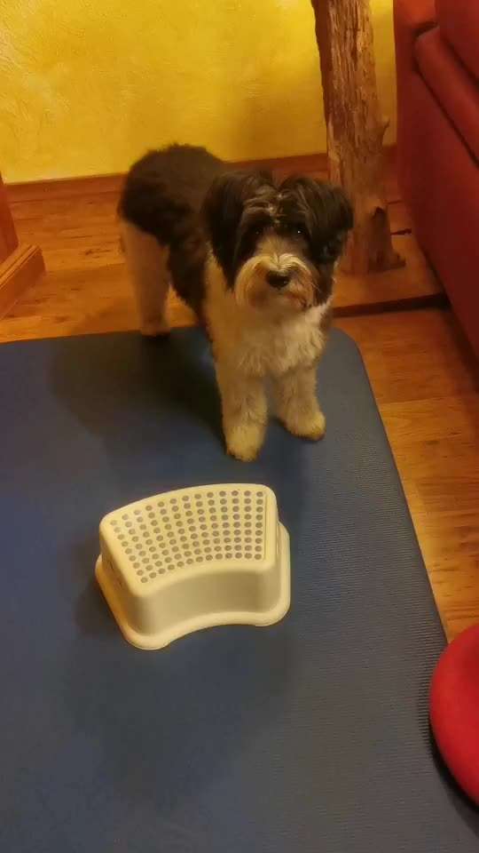 Trick Challenge ABC-Beitrag-Bild