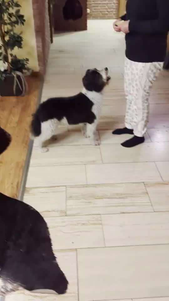 Veteranenzone - Koffer packen für fortgeschrittene-Beitrag-Bild