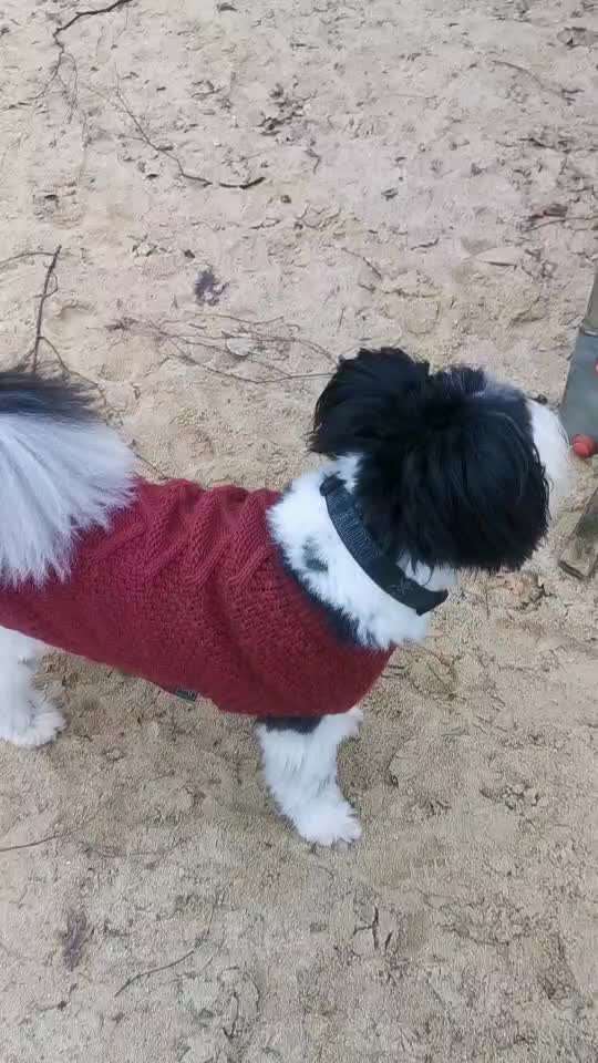 Trick Challenge ABC-Beitrag-Bild