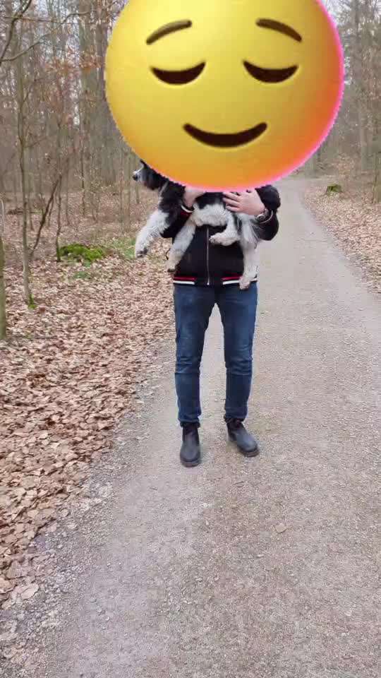 30. Impulskontrollübung: Ich trag dich auf Händen-Beitrag-Bild