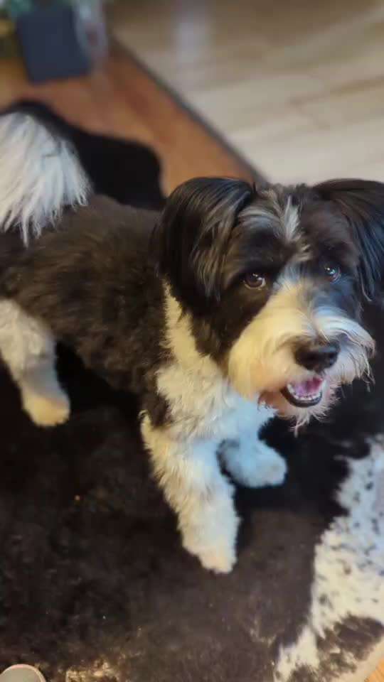 Trick Challenge ABC-Beitrag-Bild