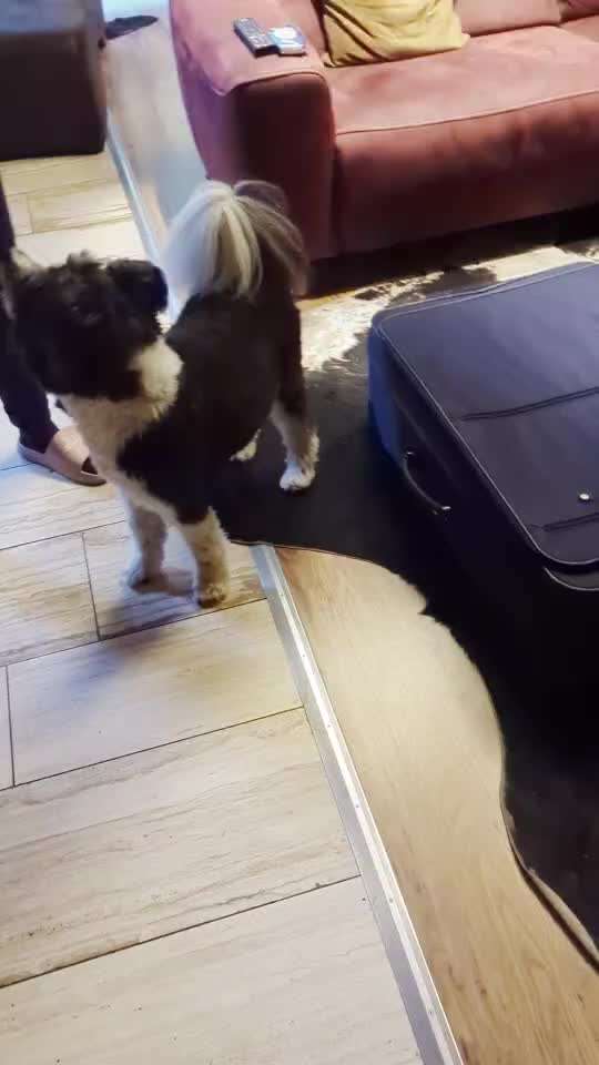 Was hat euch heute gefreut?-Beitrag-Bild