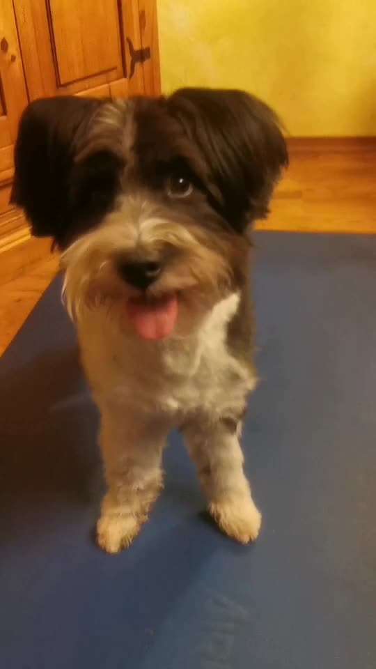 Trick Challenge ABC-Beitrag-Bild