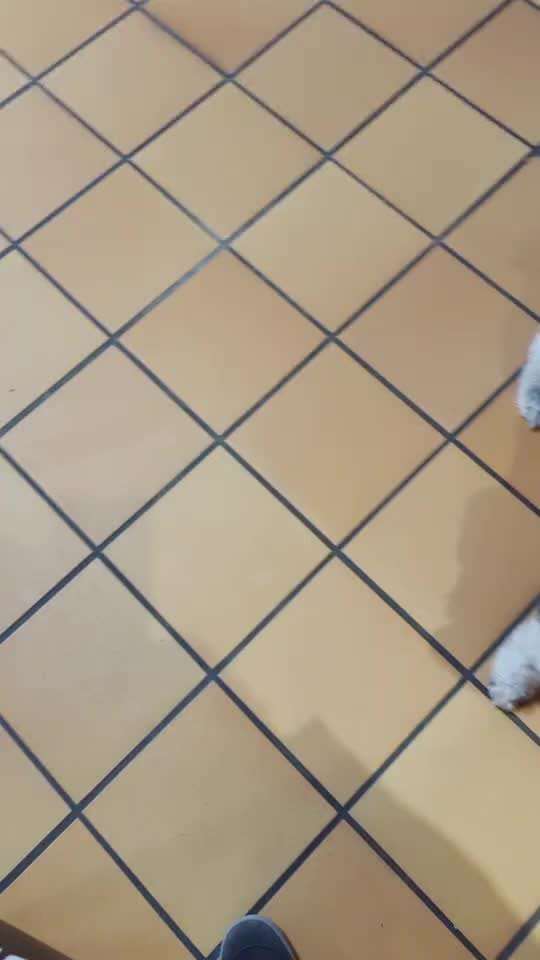 28.Imulskontrollübung             ,,Fahrstuhl fahren ,,-Beitrag-Bild