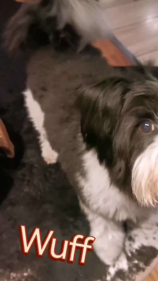 Trick Challenge ABC-Beitrag-Bild