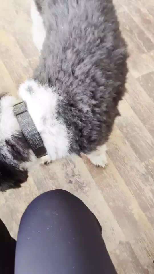 Impulskontrolle Challenge Nr.: 7
         "Gesellschaftsfähig"-Beitrag-Bild