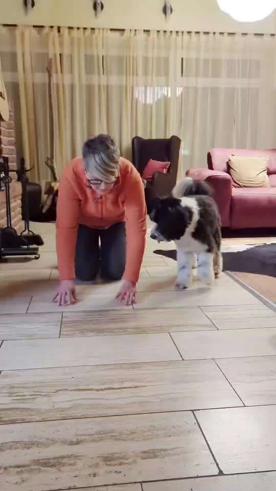 Trick Challenge ABC-Beitrag-Bild