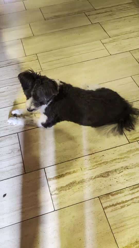 Gangbild/-analyse-Beitrag-Bild