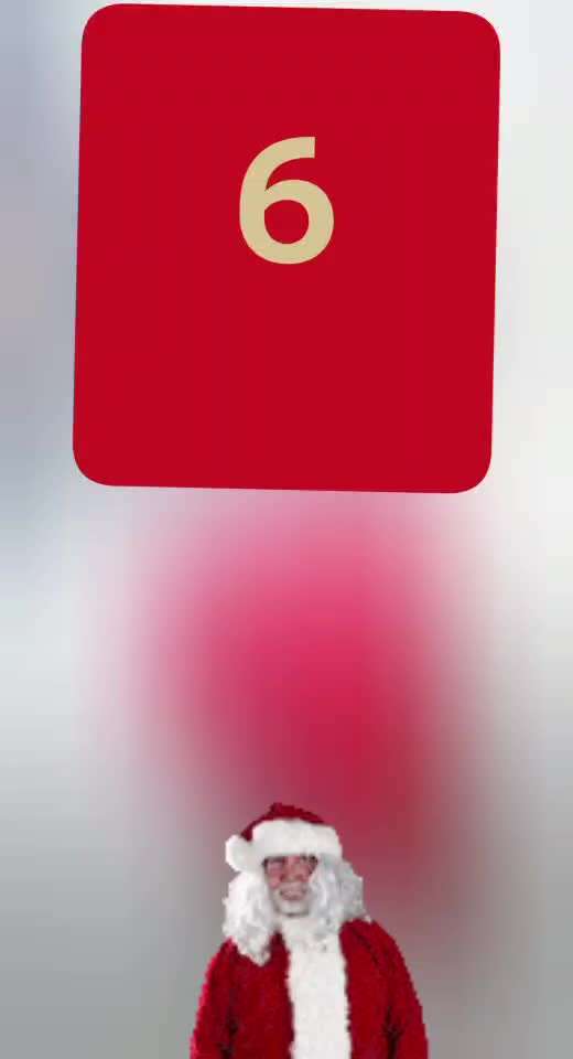 Action-Fun Hund- Aventskalender-Beitrag-Bild