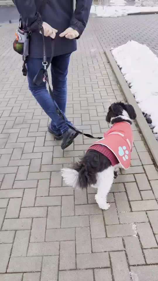 Impulskontrolle Challenge Nr.: 7
         "Gesellschaftsfähig"-Beitrag-Bild