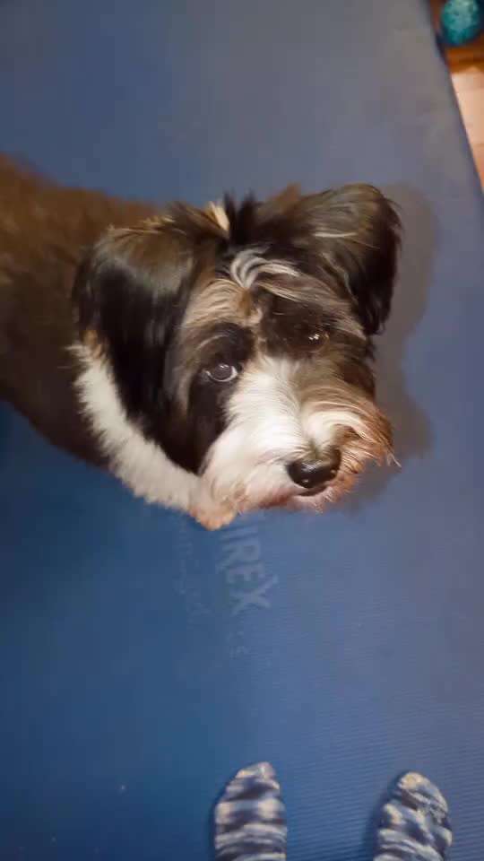 Koffer Packen: Spezial Weihnachtsedition-Beitrag-Bild