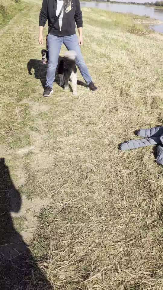 Gangbild/-analyse-Beitrag-Bild