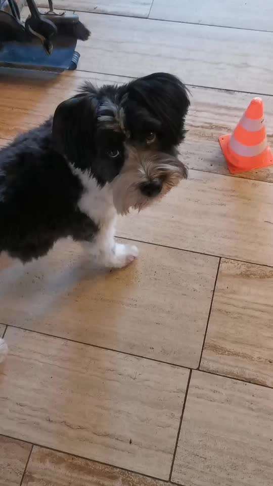 Trick Challenge ABC-Beitrag-Bild