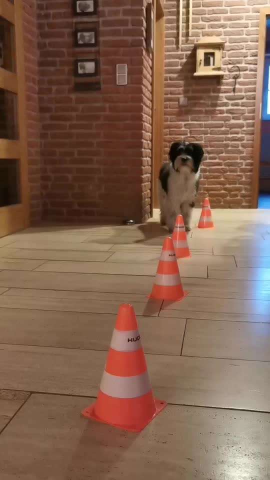 Trick Challenge ABC-Beitrag-Bild