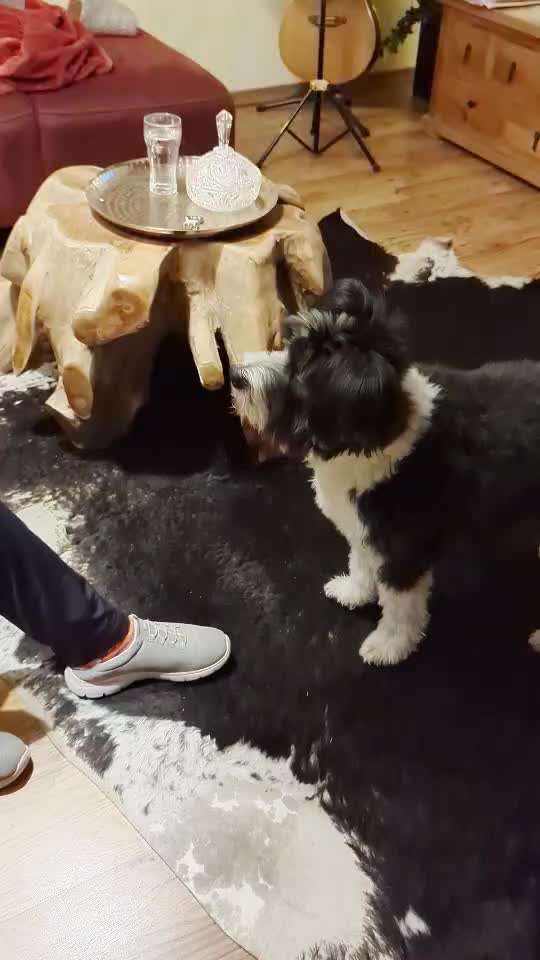 Trick Challenge ABC-Beitrag-Bild