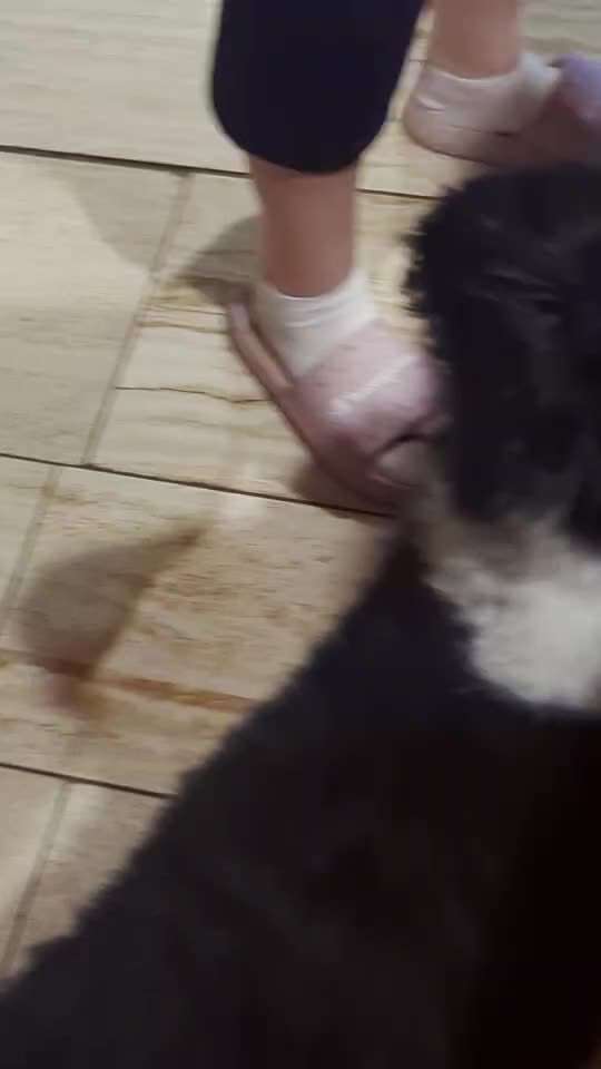 69. Tricktraining: Rücken an Rücken-Beitrag-Bild